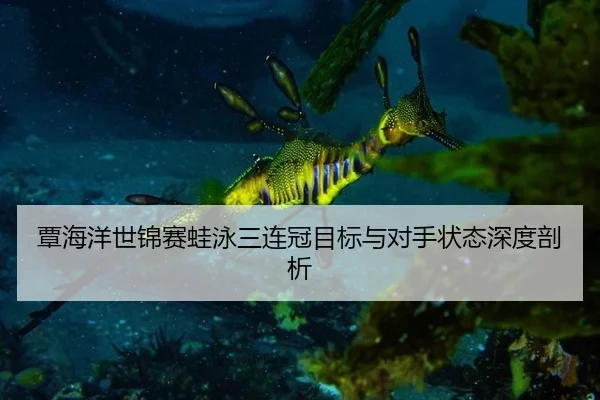 tan-hai-yang-shi-jin-sai-wa-yong-san-lian-guan-mu-biao-yu-dui-shou-zhuang-tai-shen-du-pou-xi-2-519.jpg