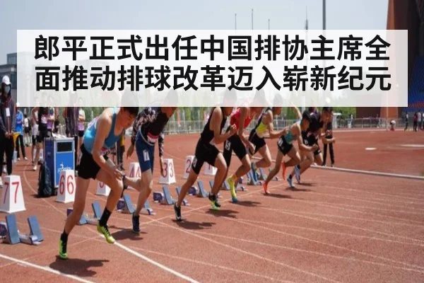 郎平正式出任中国排协主席全面推动排球改革迈入崭新纪元